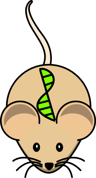 Transgenic Mouse Svg Clip Arts 324 X 598 Px (324x598), Png Download