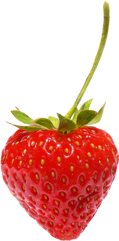 Strawberry - Strawberry Png (272x500), Png Download