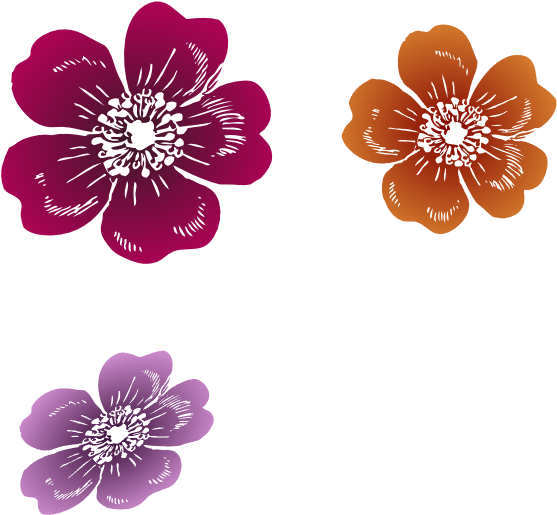 This Free Clipart Png Design Of Three Wild Roses Clipart - Clip Art (600x552), Png Download