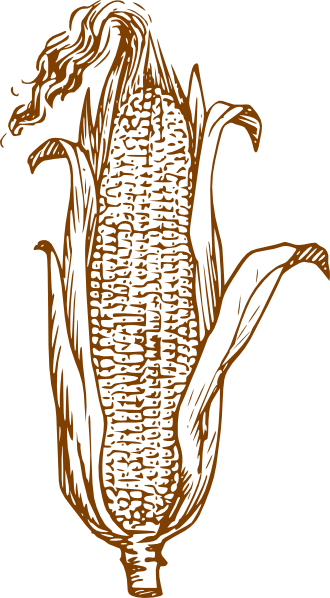 How To Set Use Brown Corn Svg Vector (330x598), Png Download