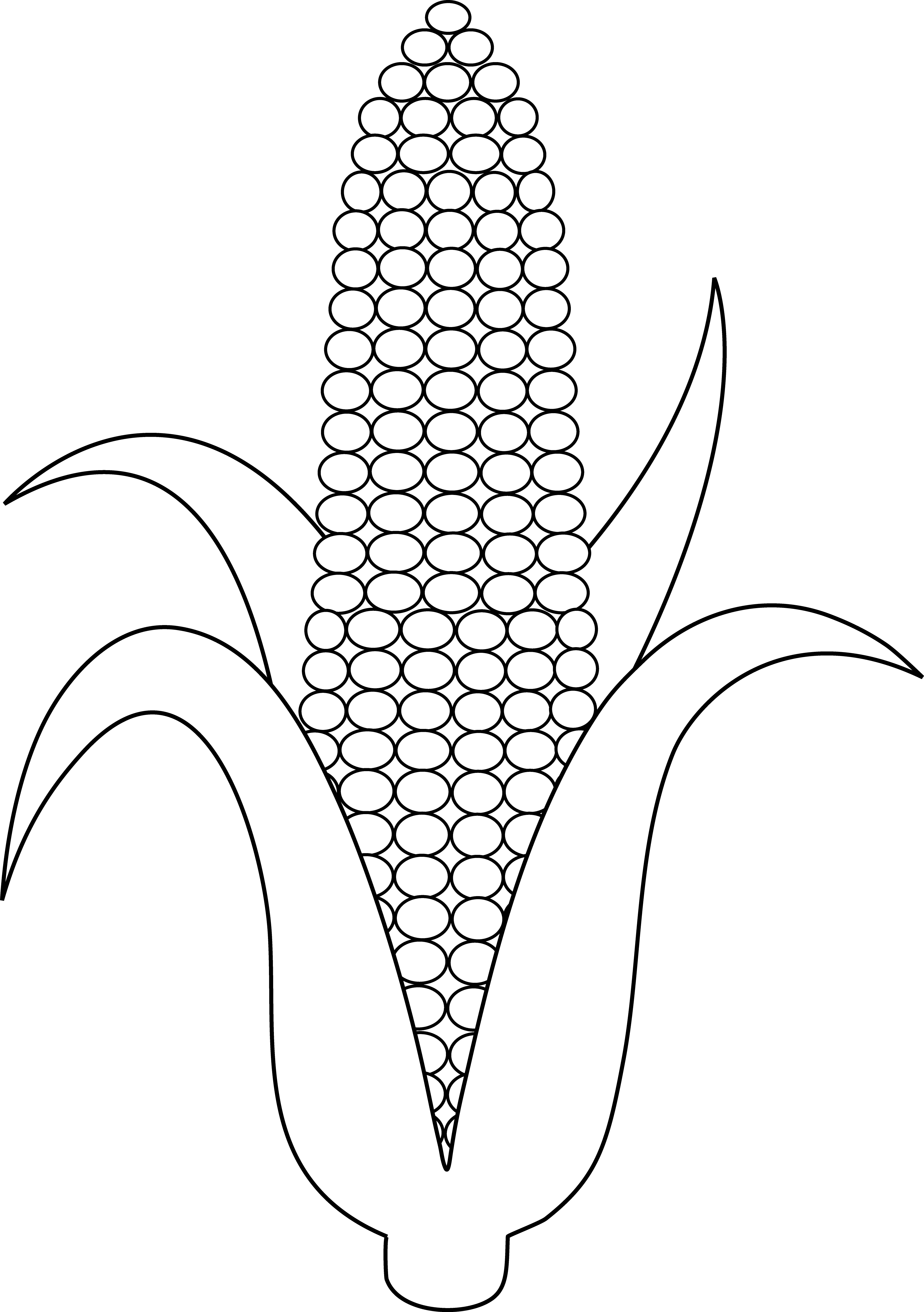 Ear Of Corn Colorable Line Art - Maize Clip Art Black And White (3765x5344), Png Download