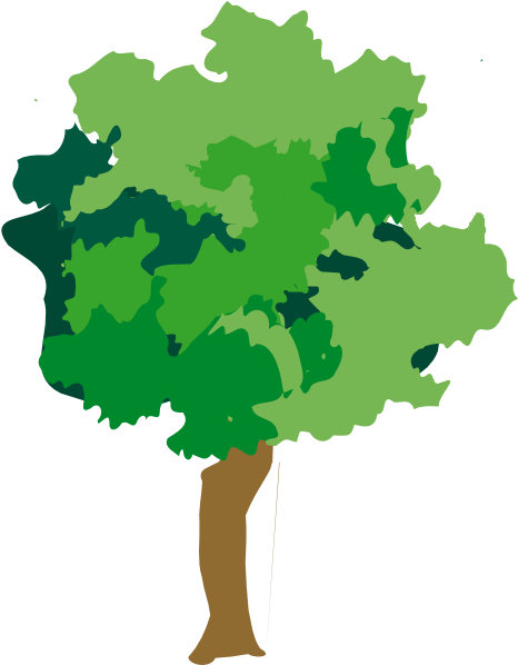 Rain Forest Tree Clip Art Images & Pictures Becuo - Clipart Rainforest Trees (498x597), Png Download