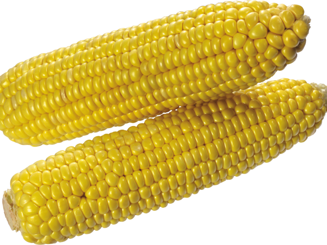 Corn Clipart Cooked Corn - Corn Transparent Background (640x480), Png Download