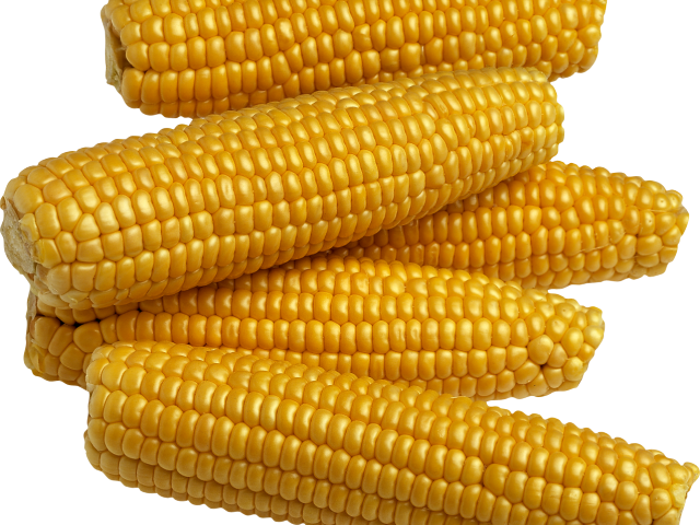 Corn Clipart Corn Seed - Food Crops In Nigeria (640x480), Png Download