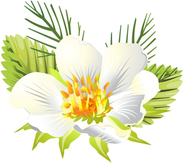 White Flower Png Clip Art Image - Lily (600x528), Png Download