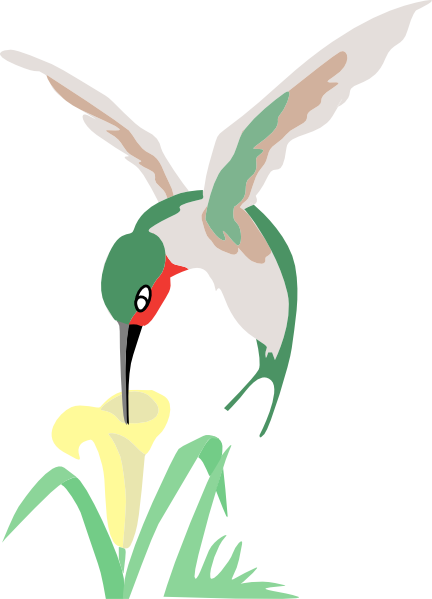 How To Set Use Green And White Hummingbird With Flower - Hummingbird On Flower Clipart (432x599), Png Download