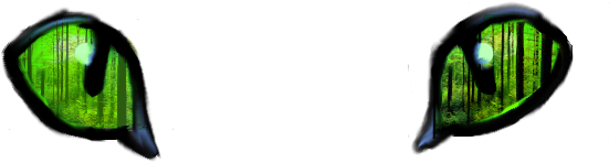 Cat Eye By Xxsandyclawxx D605qdz 0 - Insect (633x390), Png Download