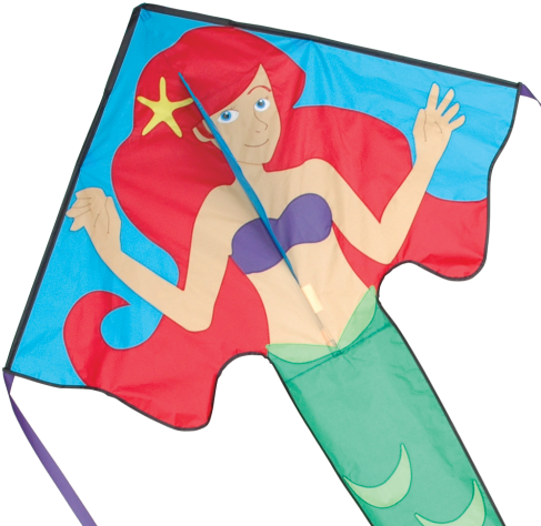 Large Easy Flyer Kite - Kite (500x500), Png Download