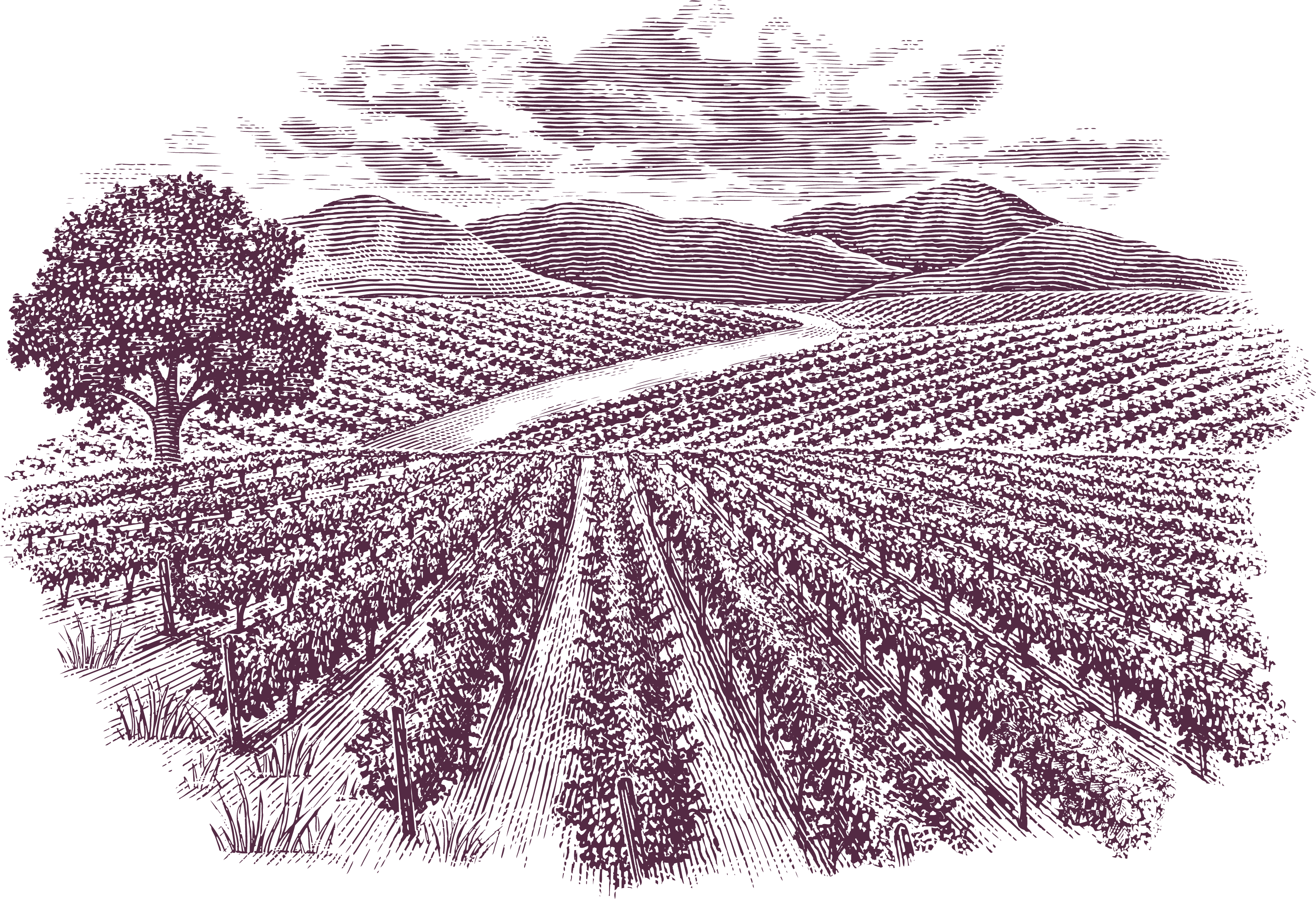 Png - Crochet (3284x2243), Png Download