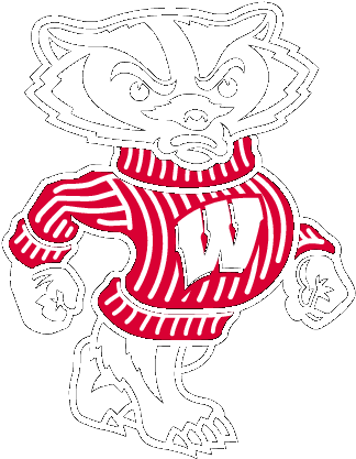 Report - Wisconsin Badgers Logo (339x436), Png Download
