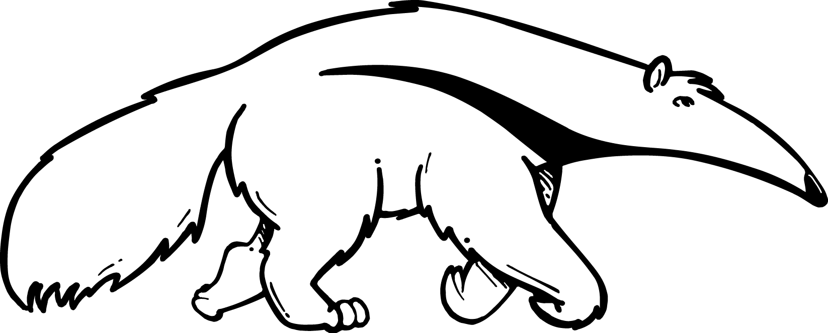 Cats Vector Cat Outline - Anteater Clipart Black And White (1646x663), Png Download