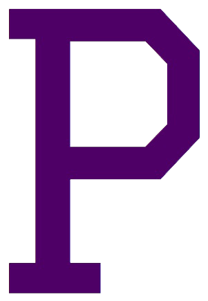 Portland Panthers - Portland High School Tn Logo (337x462), Png Download