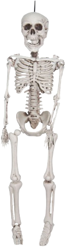 Micro Skeleton 12" - Hanging Skeleton Halloween Prop (350x500), Png Download