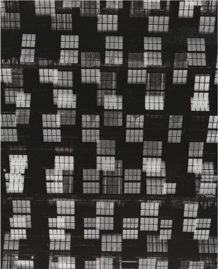 Montana Essay Learn More About Montana 1948 Essay Writing - Harry Callahan Chicago (1429x928), Png Download