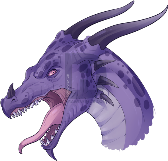 Dragon Lore - Draw A Dragon Head (584x558), Png Download