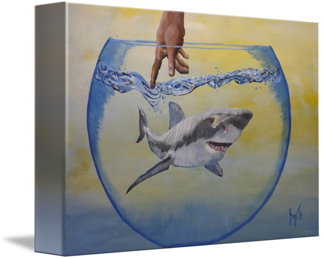 Water-line By Katharina May - Great White Shark (650x521), Png Download