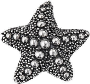 "starfish" Slide Charm From Bonn Bons By Lori Bonn - Lori Bonn Starfish Bonn Bon (350x350), Png Download