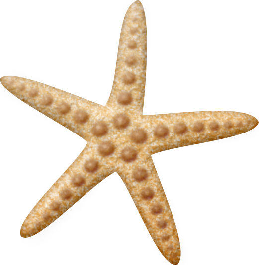 Starfish * Carpeta, Maquetas, Estrellas, Verano, Clipart - Blue Starfish Png (521x532), Png Download