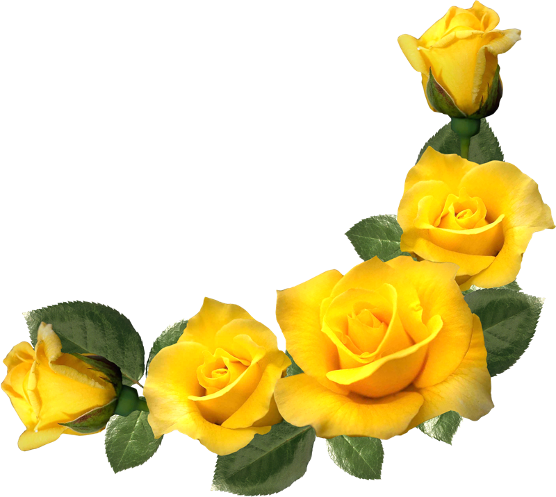 Pdf Immersion And Distance Aesthetic - Yellow Flower Frame Png (800x716), Png Download