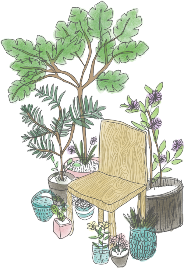 Plants - Transparent Succulent Clip Art (400x400), Png Download