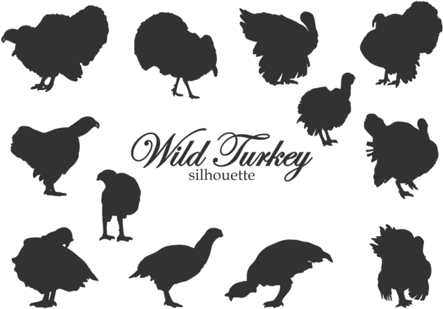Siluetas Silvestres De Turquía - Turkey Silhouette Vector (700x490), Png Download