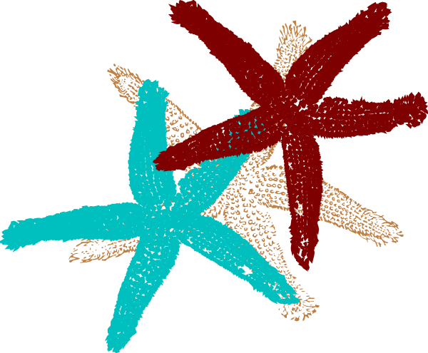 Tiffany Blue Starfish Clipart - Fish Clip Art (600x495), Png Download