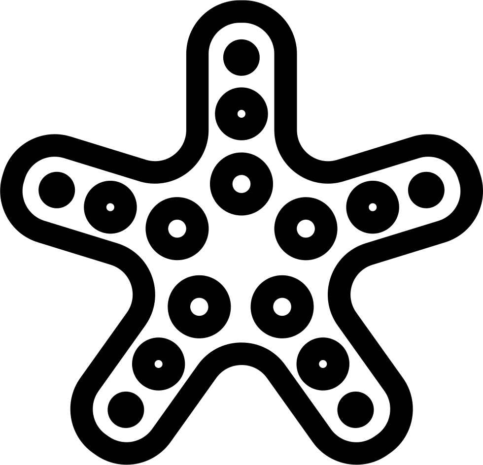 Png File - Starfish (980x944), Png Download