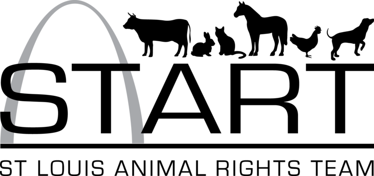 Turkey-free Thanksgiving - Ali Al Marzouqi Airconditioning (767x362), Png Download