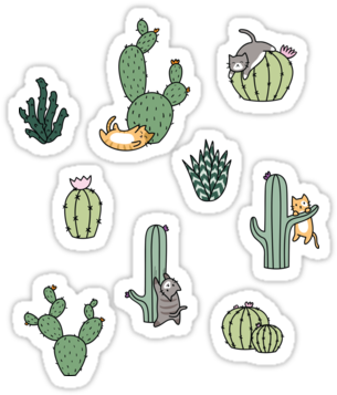 Stickers Sticker Cactus Cat, Printable Stickers, Planner - Cactus Sticker (375x360), Png Download