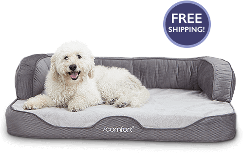 Icomfort Sofa Sleeper - Serta Icomfort Extra-large Sofa Pet Bed (500x326), Png Download