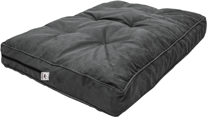 Snoozer Luxury Solid Orthopedic Pillow Top Pet Bed, (800x800), Png Download