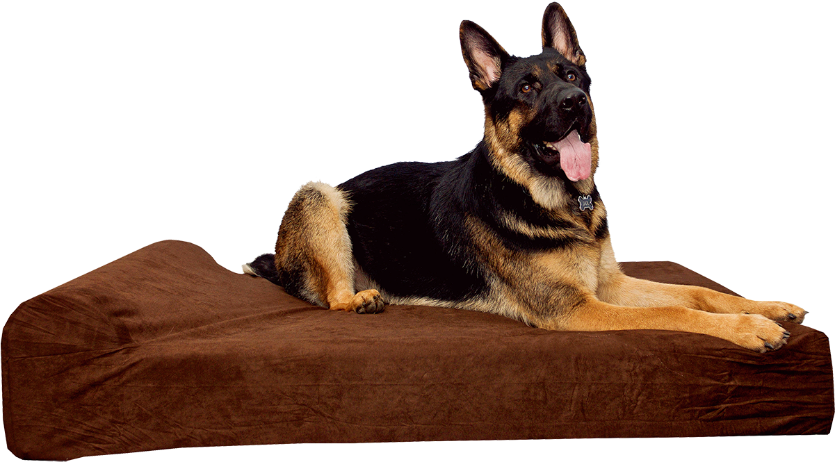 Dog Beds (1200x1200), Png Download