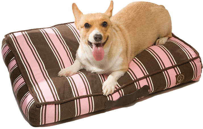Classic Pillow Beds - One For Pets Cotton Canvas Pillow Pet Bed (800x535), Png Download