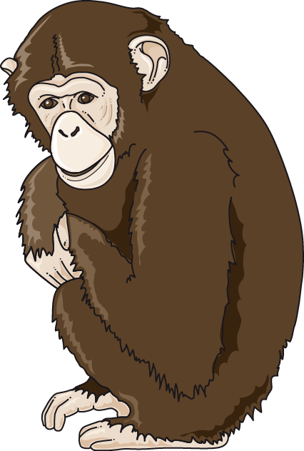 Download The Image - Monkey (426x632), Png Download