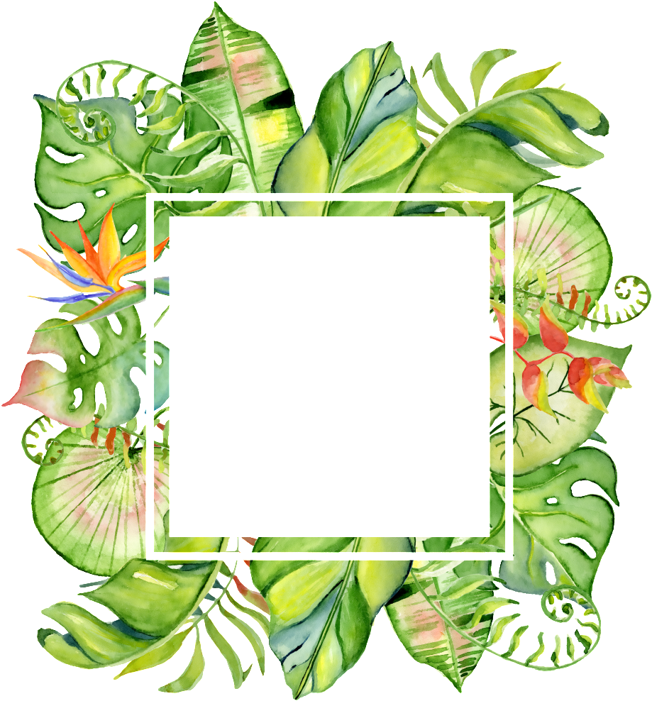 Hand Painted Square Leaf Frame Png Transparent - Marco Para Fotos Selva (1024x1024), Png Download