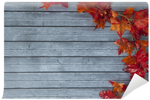 Plank (400x400), Png Download