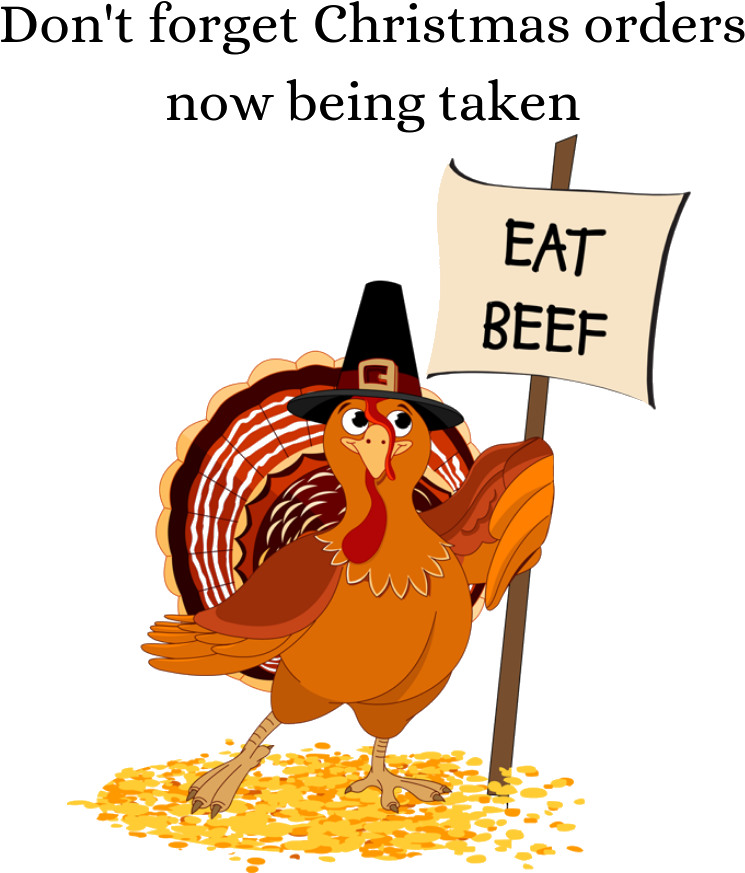 Recent Comments - Cartoon Turkey (1000x1000), Png Download