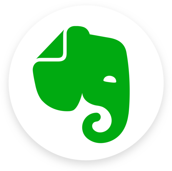 Evernote On The Mac App Store - Evernote Logo (600x600), Png Download