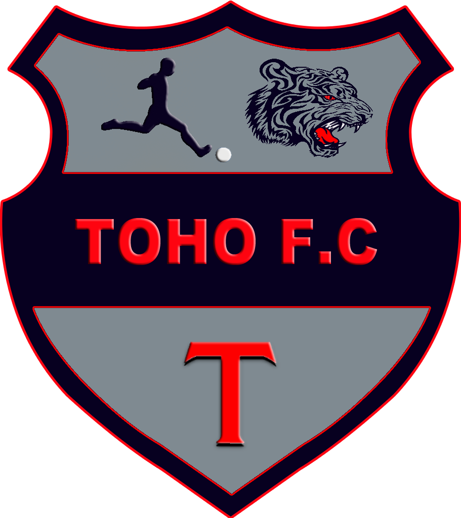 Toho Fc By Mirkus Cabanaxbox Es Xbox360 Y Pc Windows, - Animals Wall Decals Grin Tiger Head Vinyl Decor Sticker (911x1024), Png Download