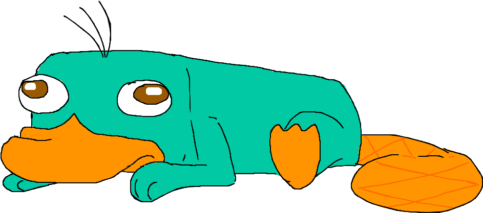 Perry The Platypus As A Baby Cute - Platypus (1285x506), Png Download