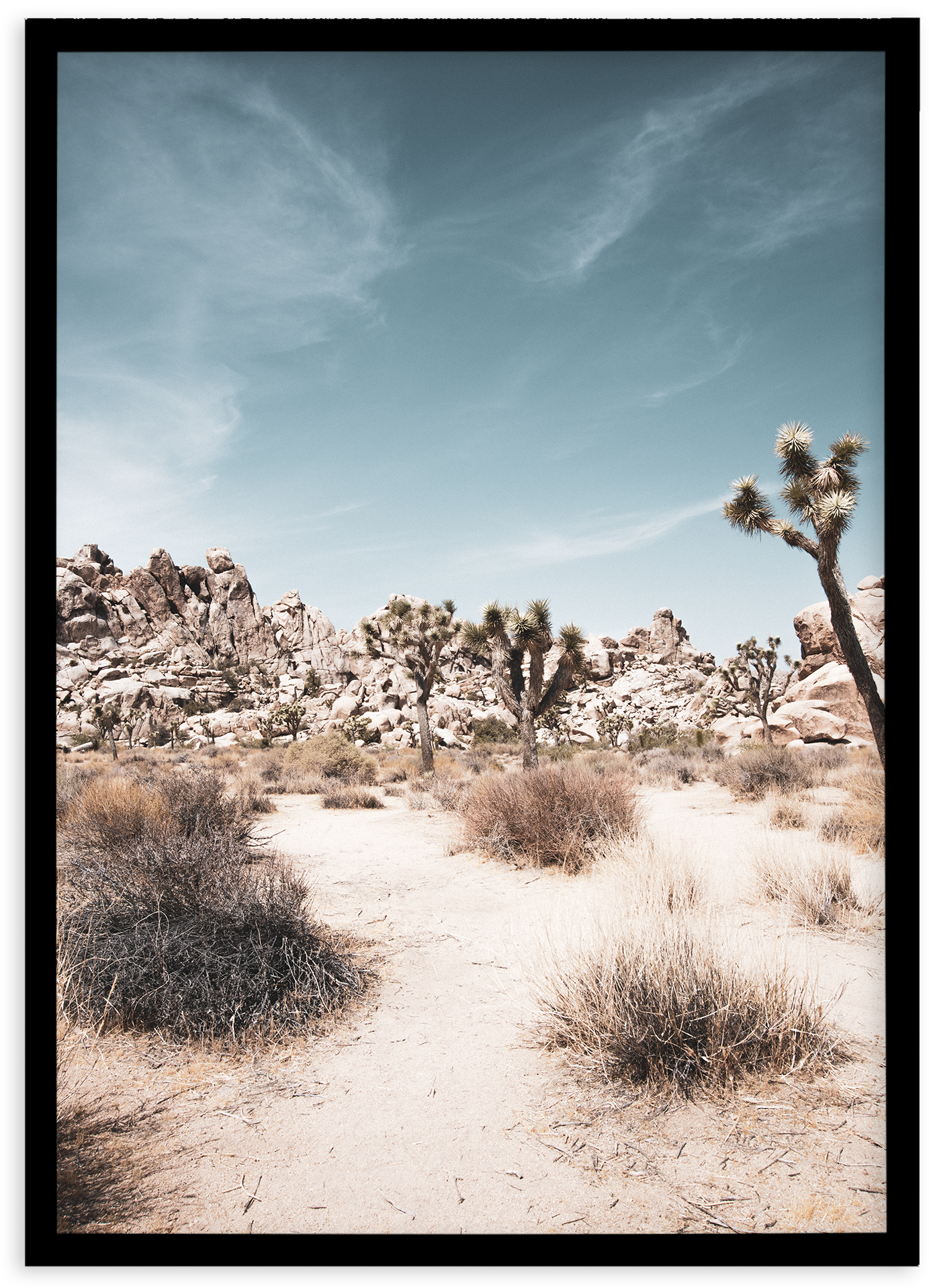 Joshua Tree - Sahara (1874x2336), Png Download