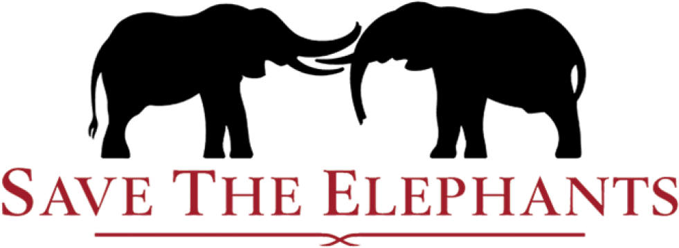 Elephants - Save The Elephants Logo (1000x460), Png Download