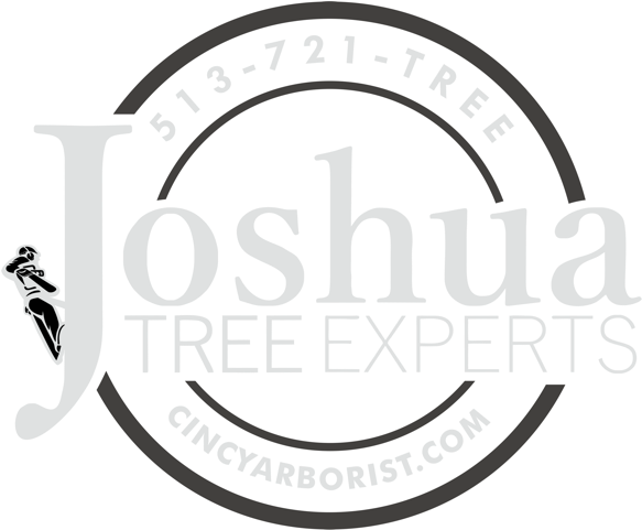 Joshua Tree Experts - Relax (700x550), Png Download