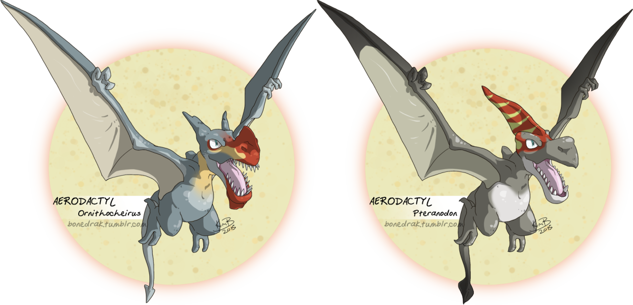 Jumping On The Bandwagon And Made Some Aerodactyl Variants - Pterosaurs (1280x617), Png Download