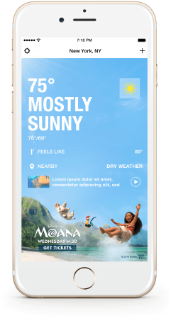 Sunnydaywednesday - Samsung Galaxy (260x480), Png Download