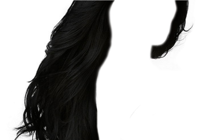 Hair Transparent Background Png Mart - Portable Network Graphics (800x491), Png Download