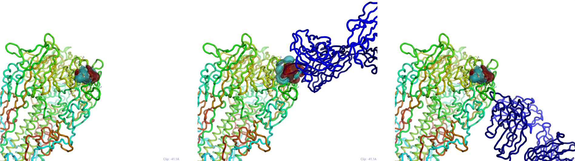 Influenza H3n2 Hemagglutinin With The Electrostatics - Illustration (1934x564), Png Download