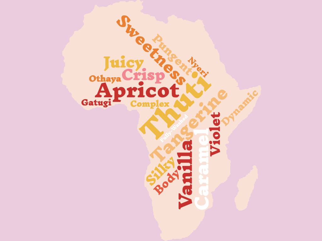 Compare Africa And South America (1024x768), Png Download