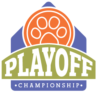 Dumb Friends League Playoff Championship - National Football League Playoffs (384x336), Png Download