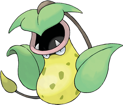 Victreebel Best Name - Victreebel Pokemon (431x431), Png Download